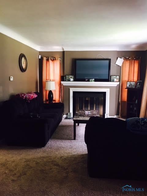3720 Roanoke Road Toledo, OH 43613 - Photo 2 of 11 Gallery Image 2