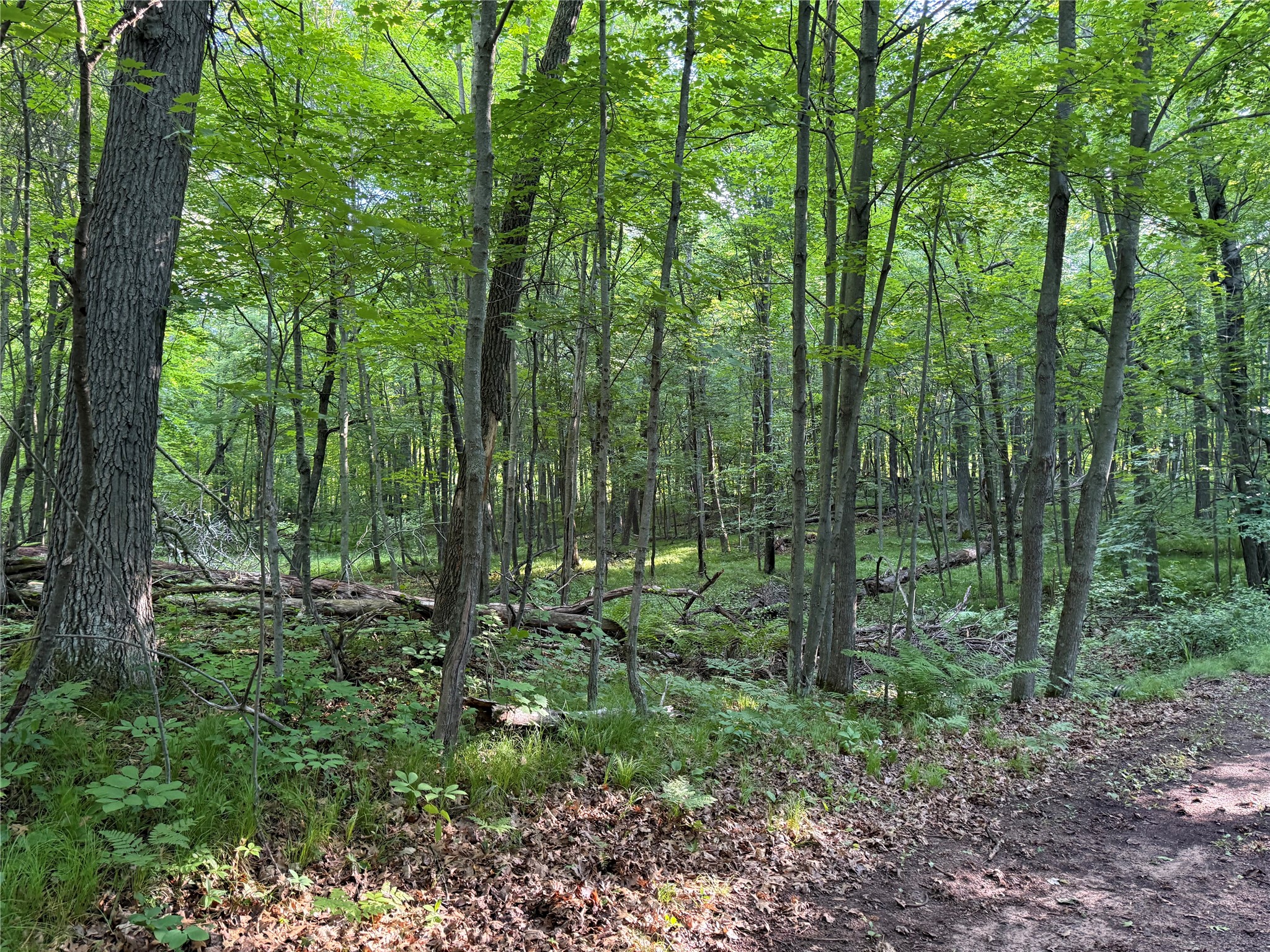 Xxx Sathre Lane Shell Lake, WI 54871 - Photo 29 of 36