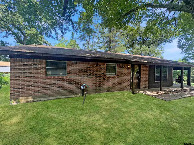 a view of a backyard with a barbeque grill and a large tree