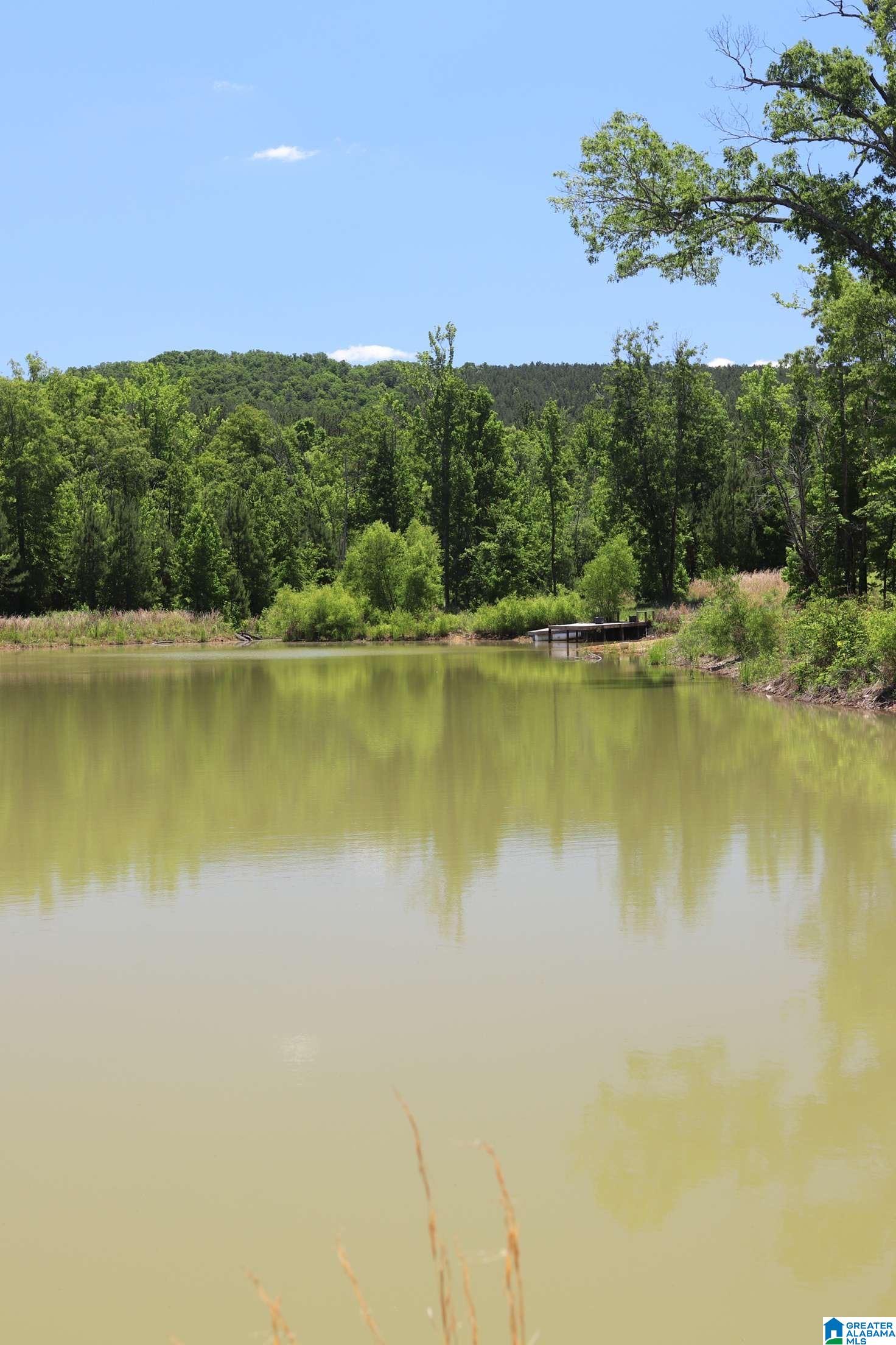 2930 Shocco Springs Road Talladega, AL 35160 - Photo 49 of 93