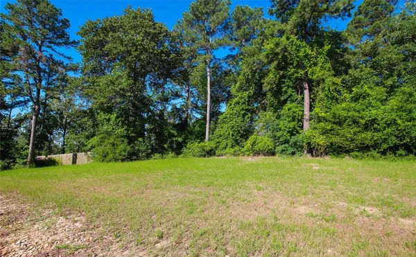a view of a yard with large trees