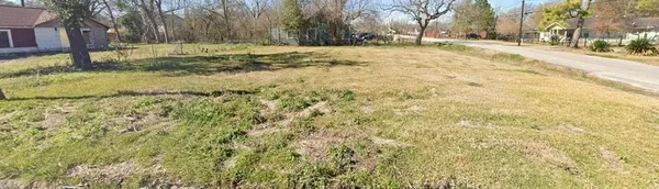 a view of a yard with large trees