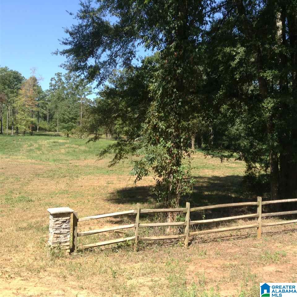 19 Highway Montevallo Al Montevallo, AL 35115 - Photo 4 of 9