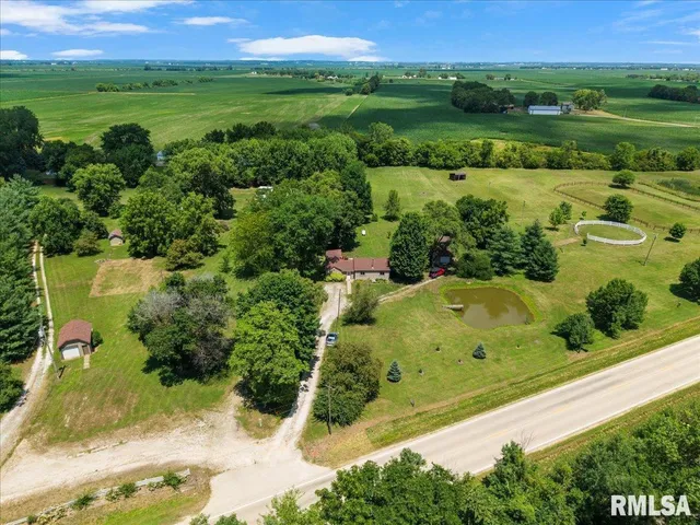 a view of a lush green outdoor space with a swimming pool