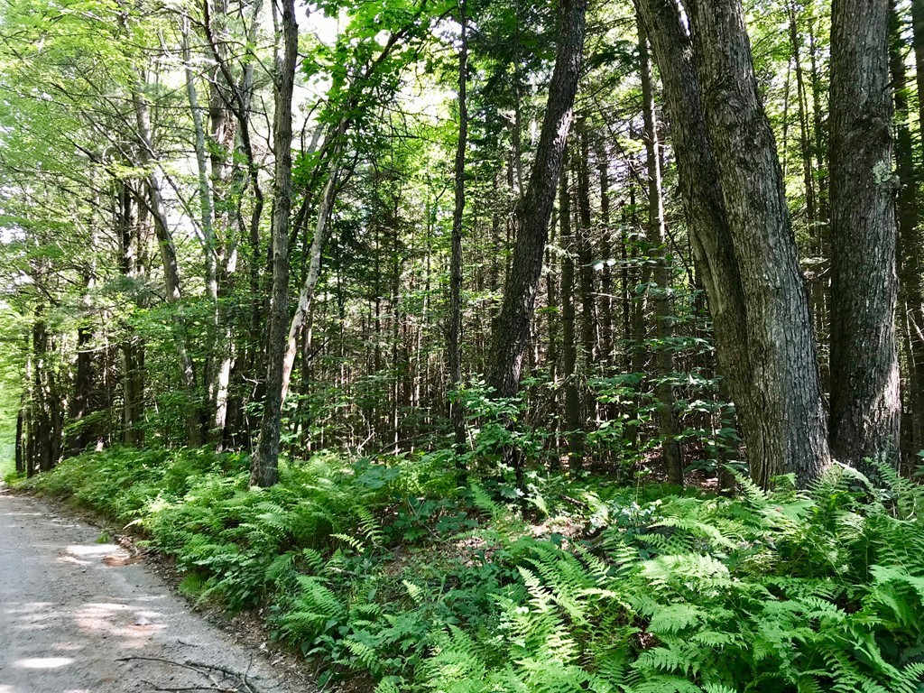 0 Hosmer Road Heath, MA 01346 - Photo 1 of 6 Gallery Image 1