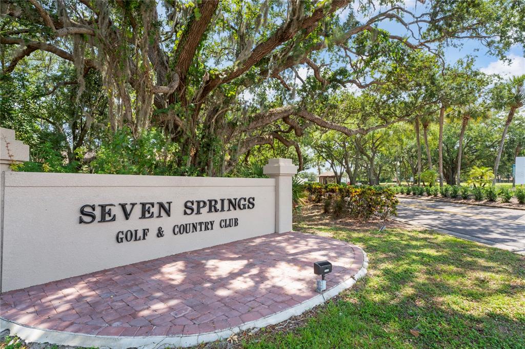 9108 Bassett Lane, Unit B New Port Richey, FL 34655 - Photo 42 of 66 a view of outdoor space with a garden and trees