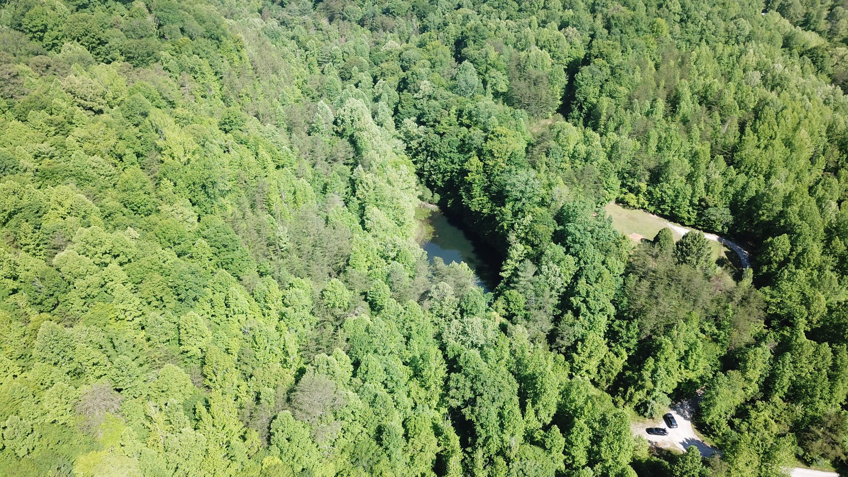 0 Emanuel Hollow Road Gray, KY 40734 - Photo 18 of 29 DJI_0008 (Custom)