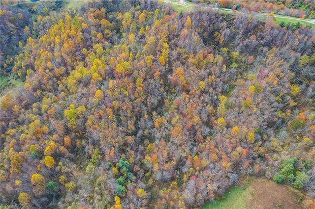 $144,200 | 4 Mayito Lane, Mouth Of Wilson, VA 24363