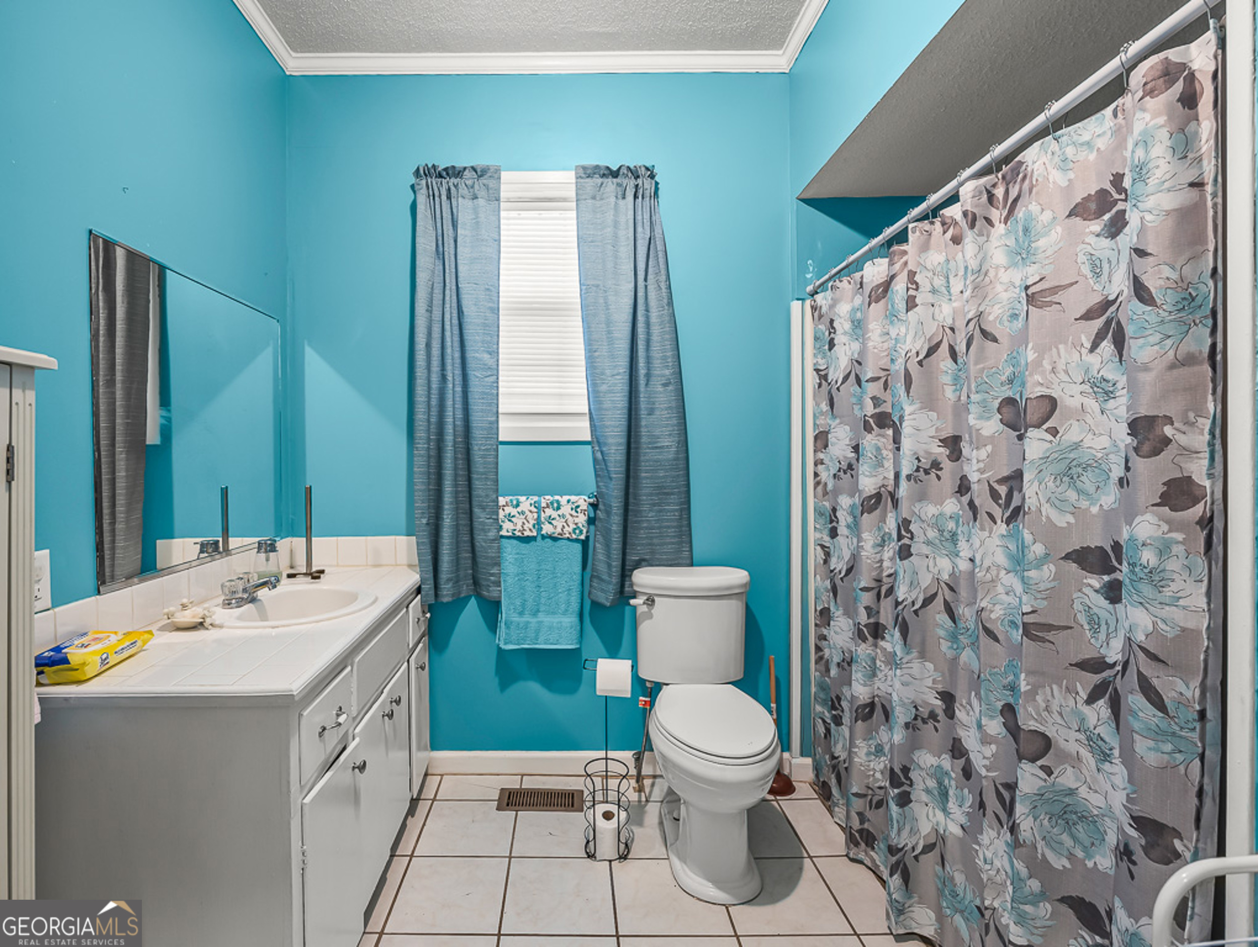 517 North Masonic Street Millen, GA 30442 - Photo 31 of 40 a bathroom with a sink toilet and shower