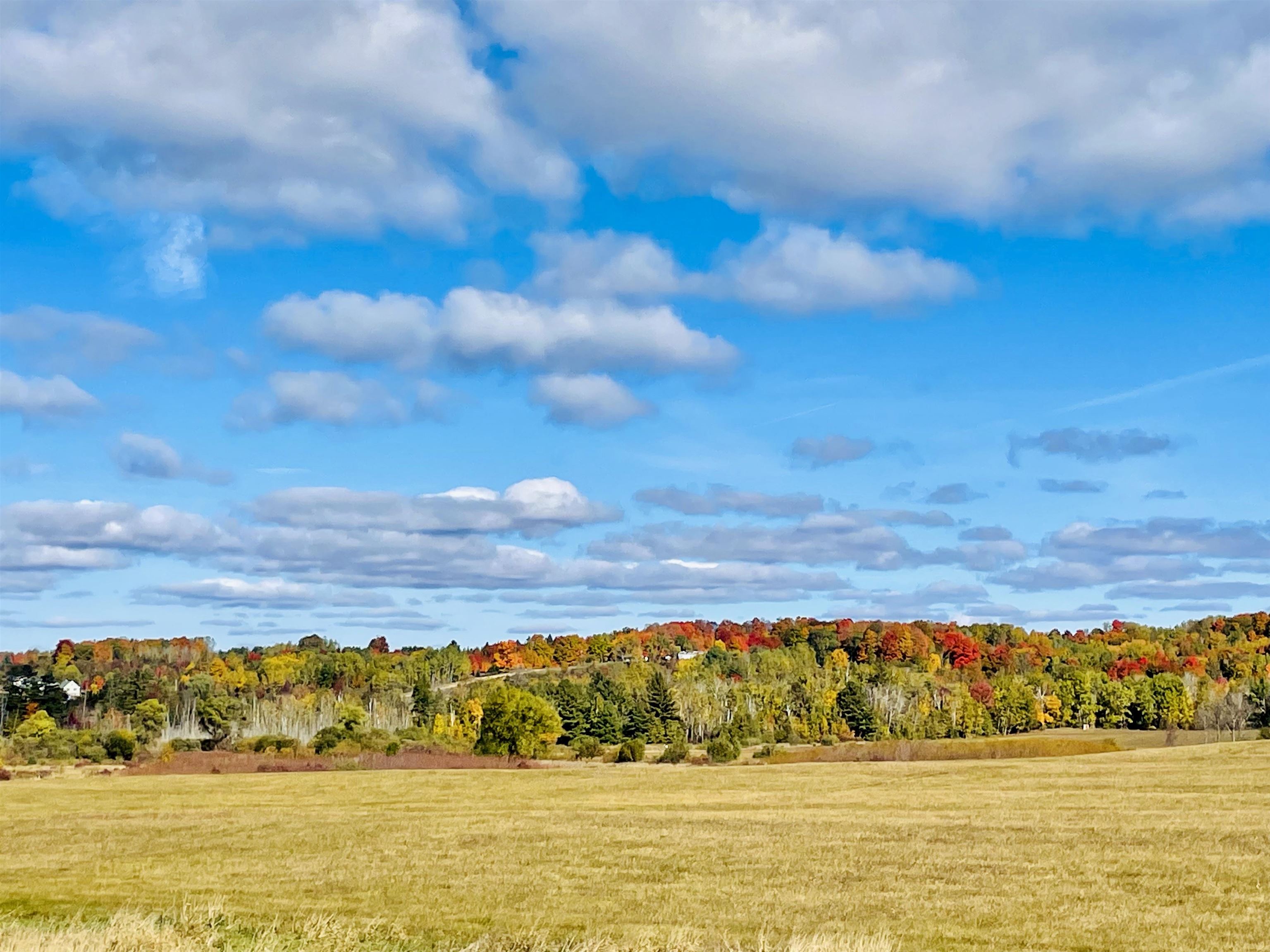 0 Zawora Road Kewadin, MI 49648 - Photo 4 of 12