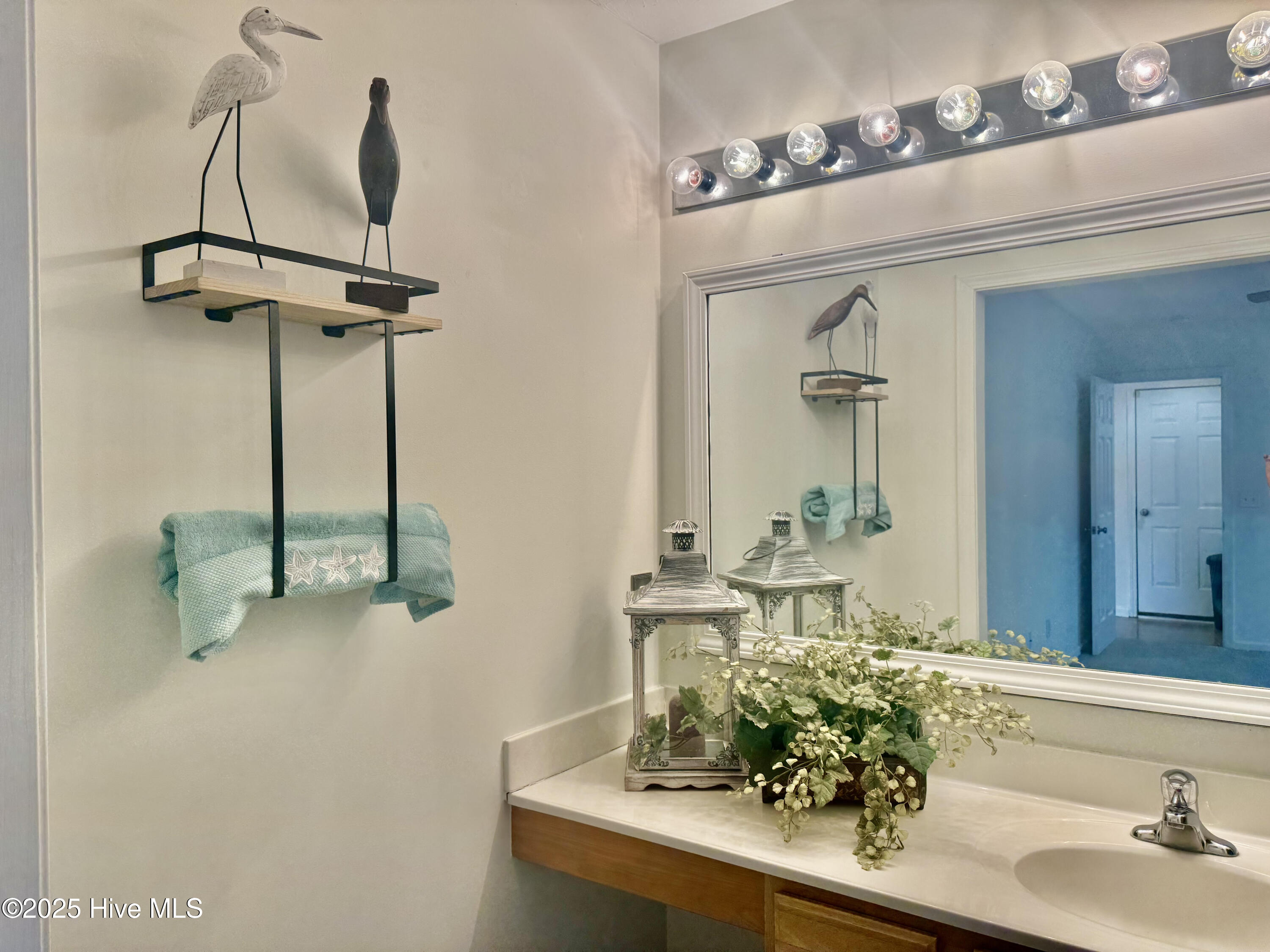 206 Red Carnation Drive Holly Ridge, NC 28445 - Photo 16 of 31 unnamed (18)