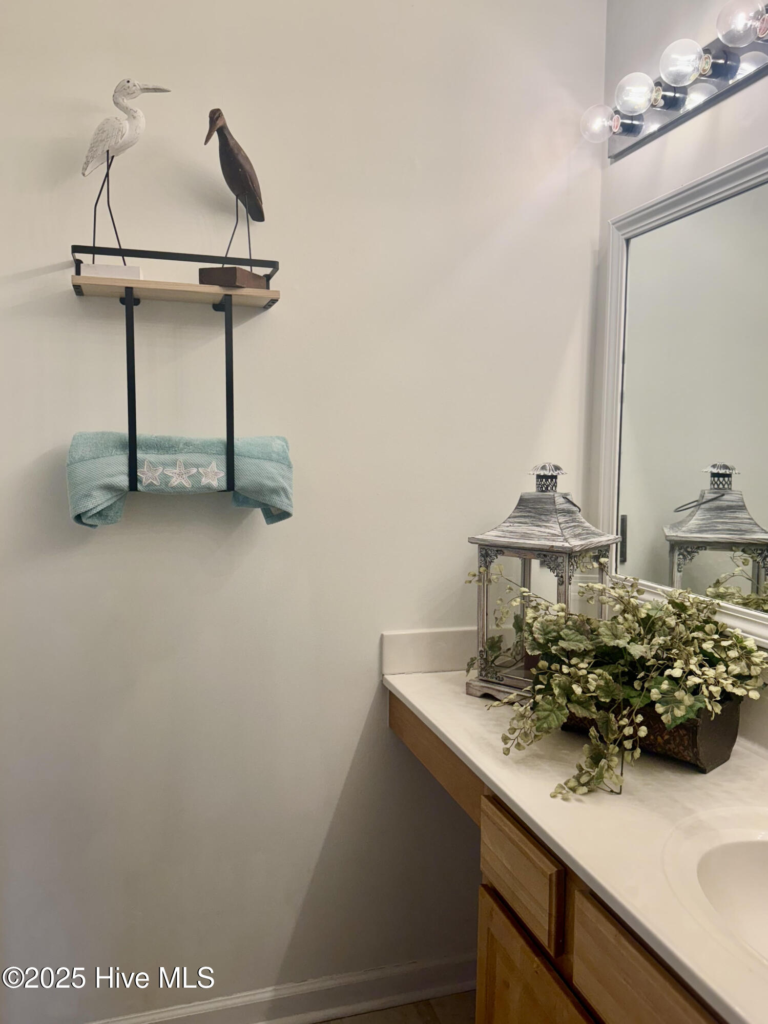 206 Red Carnation Drive Holly Ridge, NC 28445 - Photo 19 of 31 unnamed