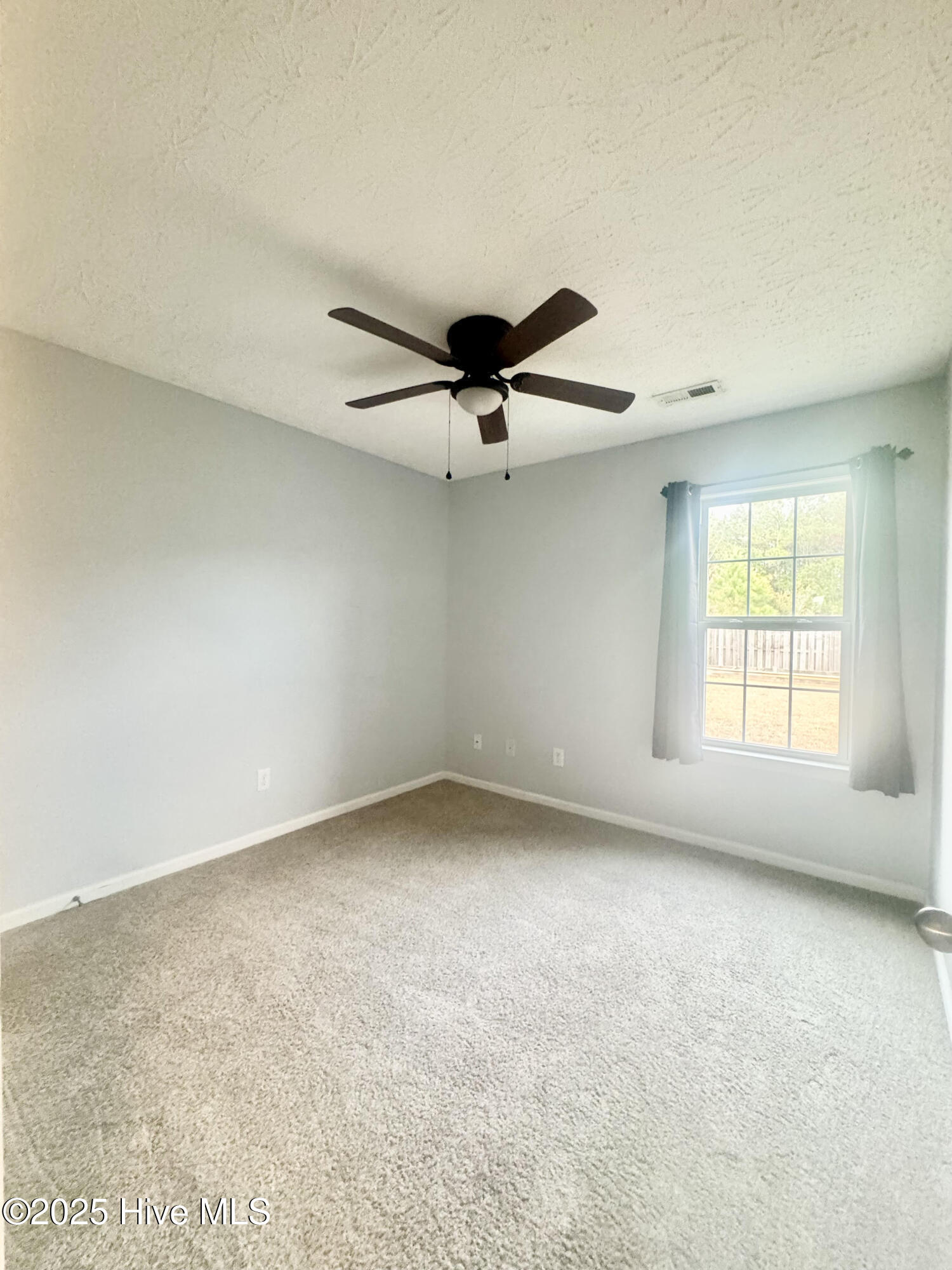 206 Red Carnation Drive Holly Ridge, NC 28445 - Photo 21 of 31 unnamed (30)