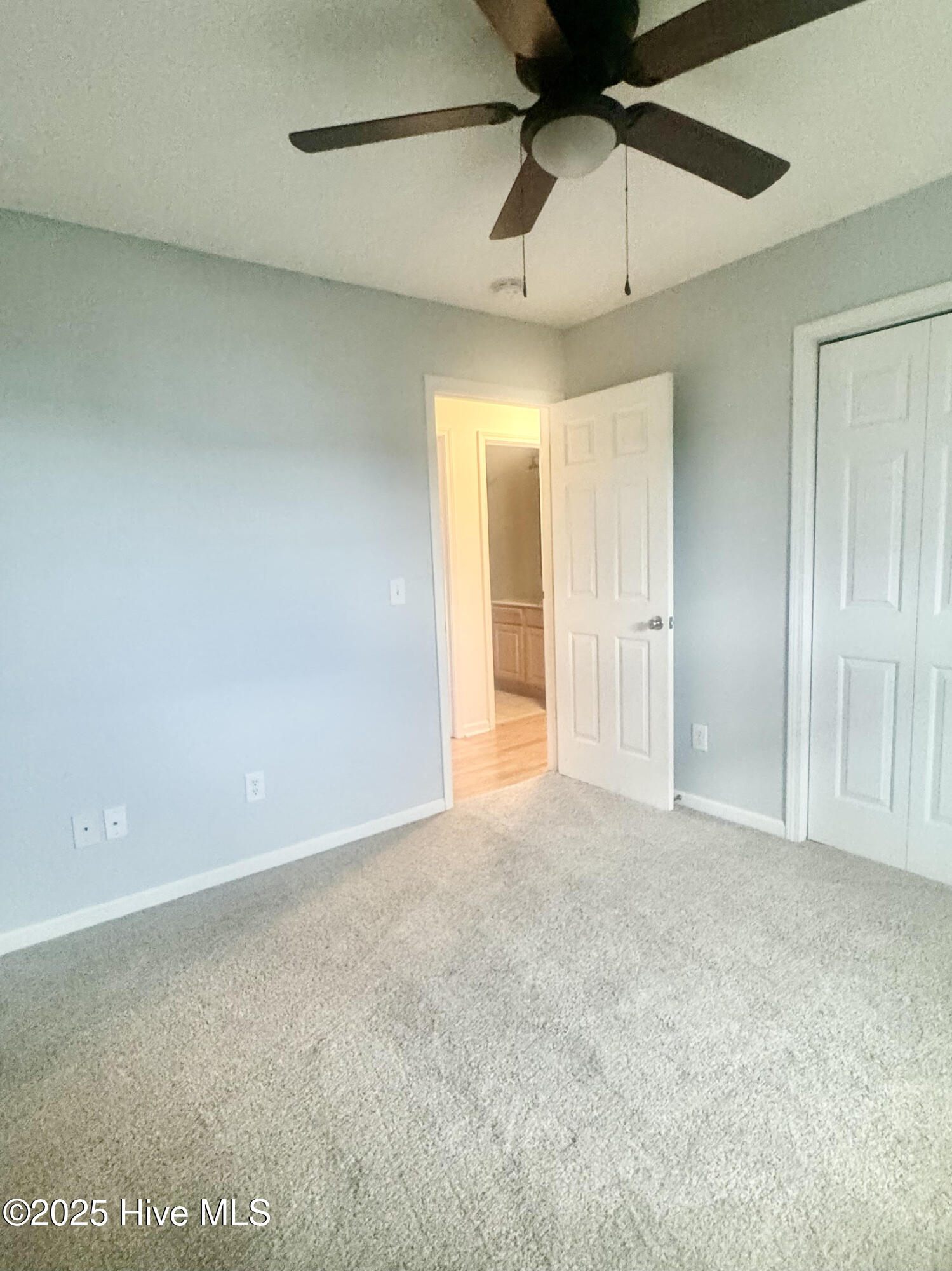 206 Red Carnation Drive Holly Ridge, NC 28445 - Photo 24 of 31 unnamed (28)