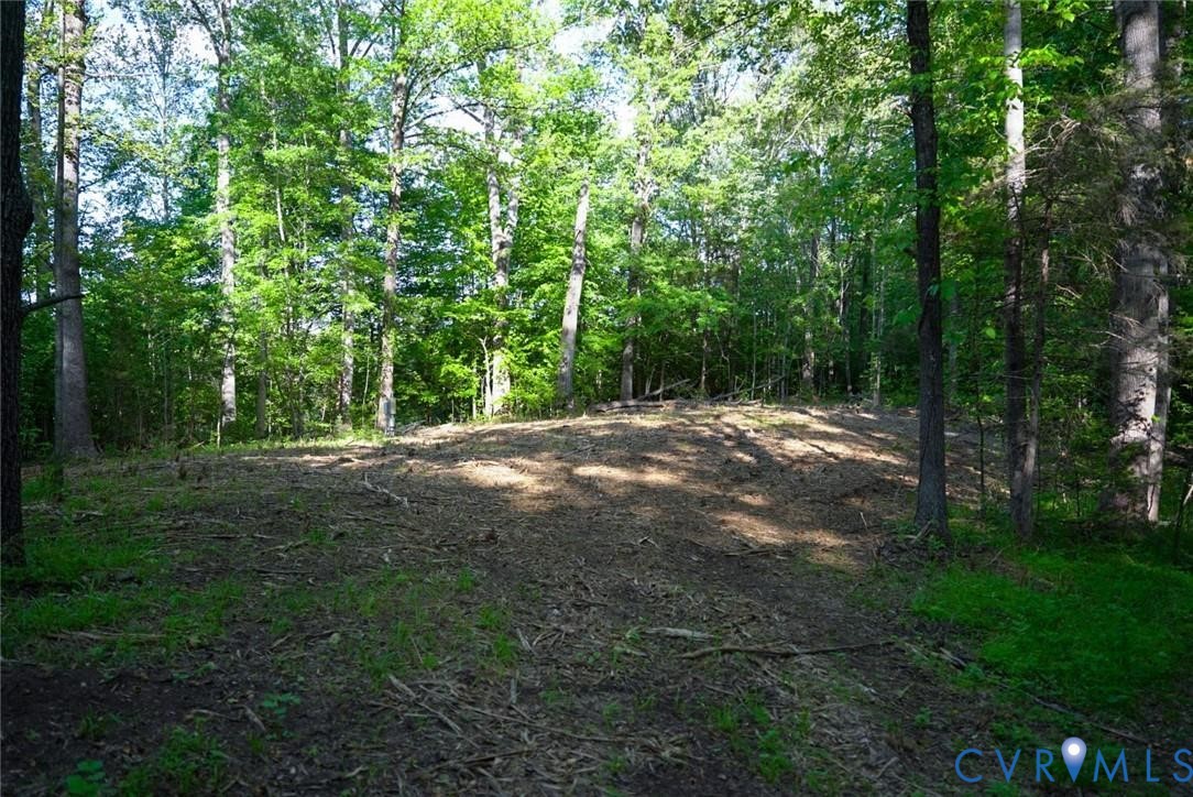 176 Ampthill Road Cartersville, VA 23027 - Photo 9 of 25 a view of a forest with trees in the background