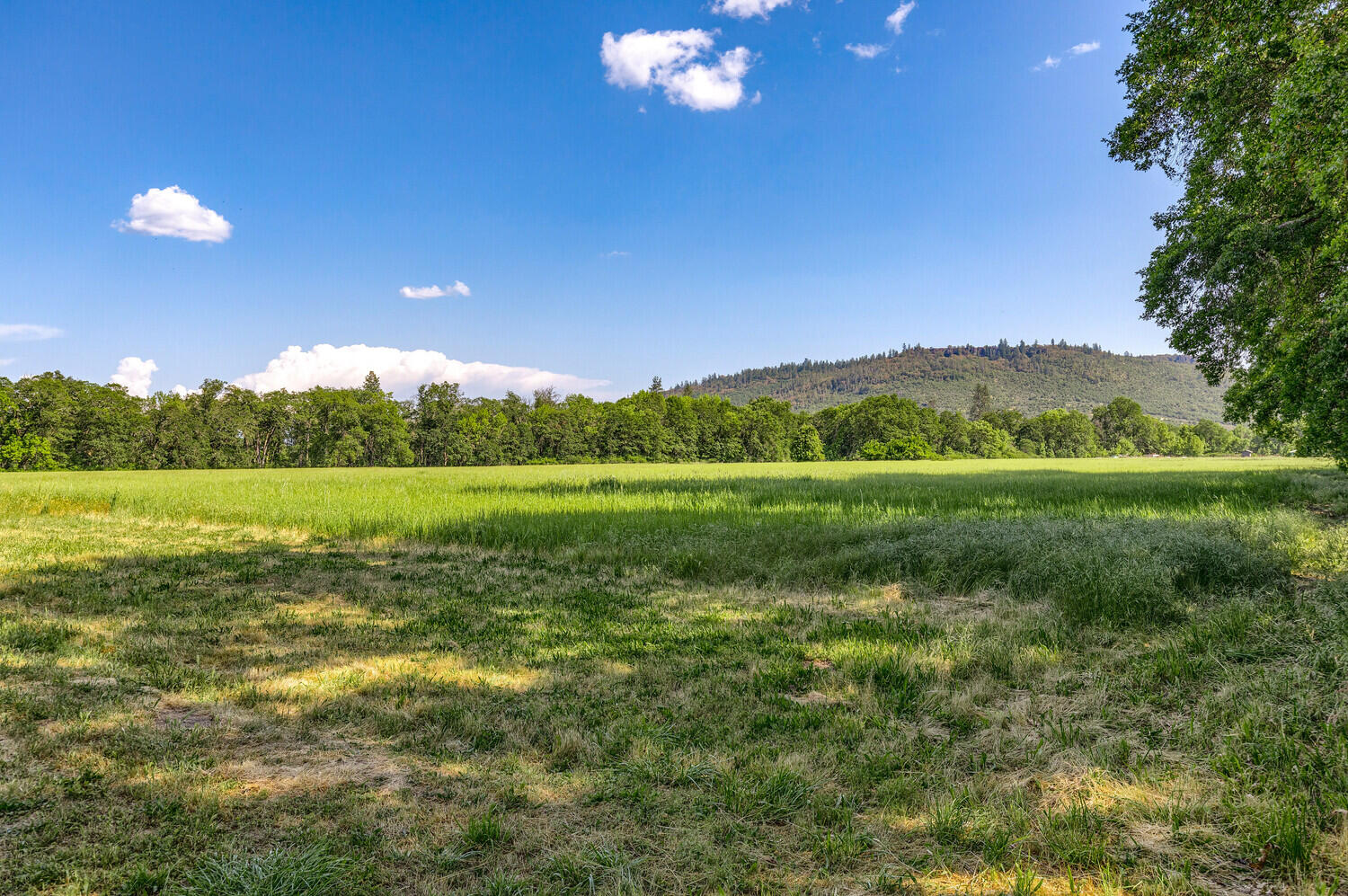 10710 Meadows Road White City, OR 97503 - Photo 25 of 46 a view of a golf course with a lake view