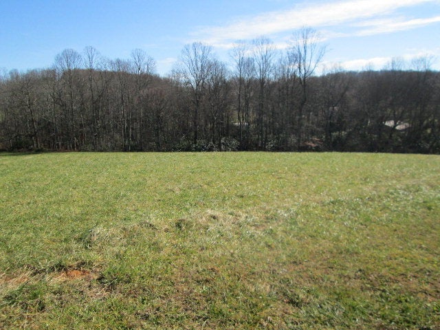 Lot 8 Volunteer Ridge Trail, Unit 8 Fancy Gap, VA 24328 - Photo 1 of 1 Gallery Image 1