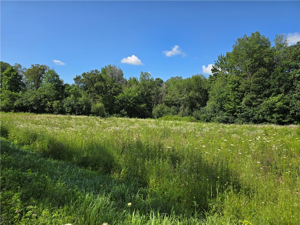 Lot 8 Hemlock Road Eau Claire, WI 54701 - Photo 2 of 4