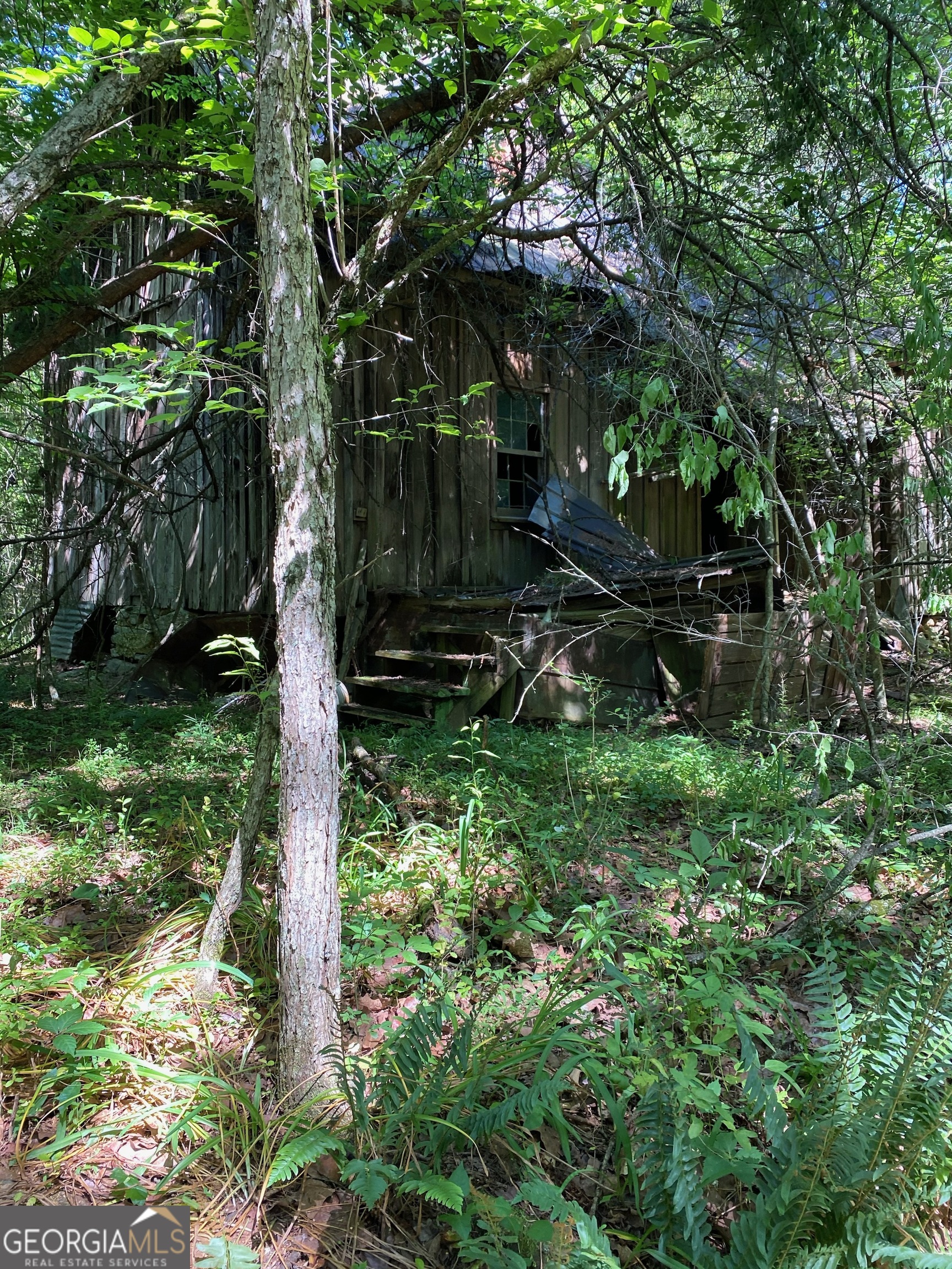 0 Hardman Road Sautee Nacoochee, GA 30571 - Photo 7 of 16