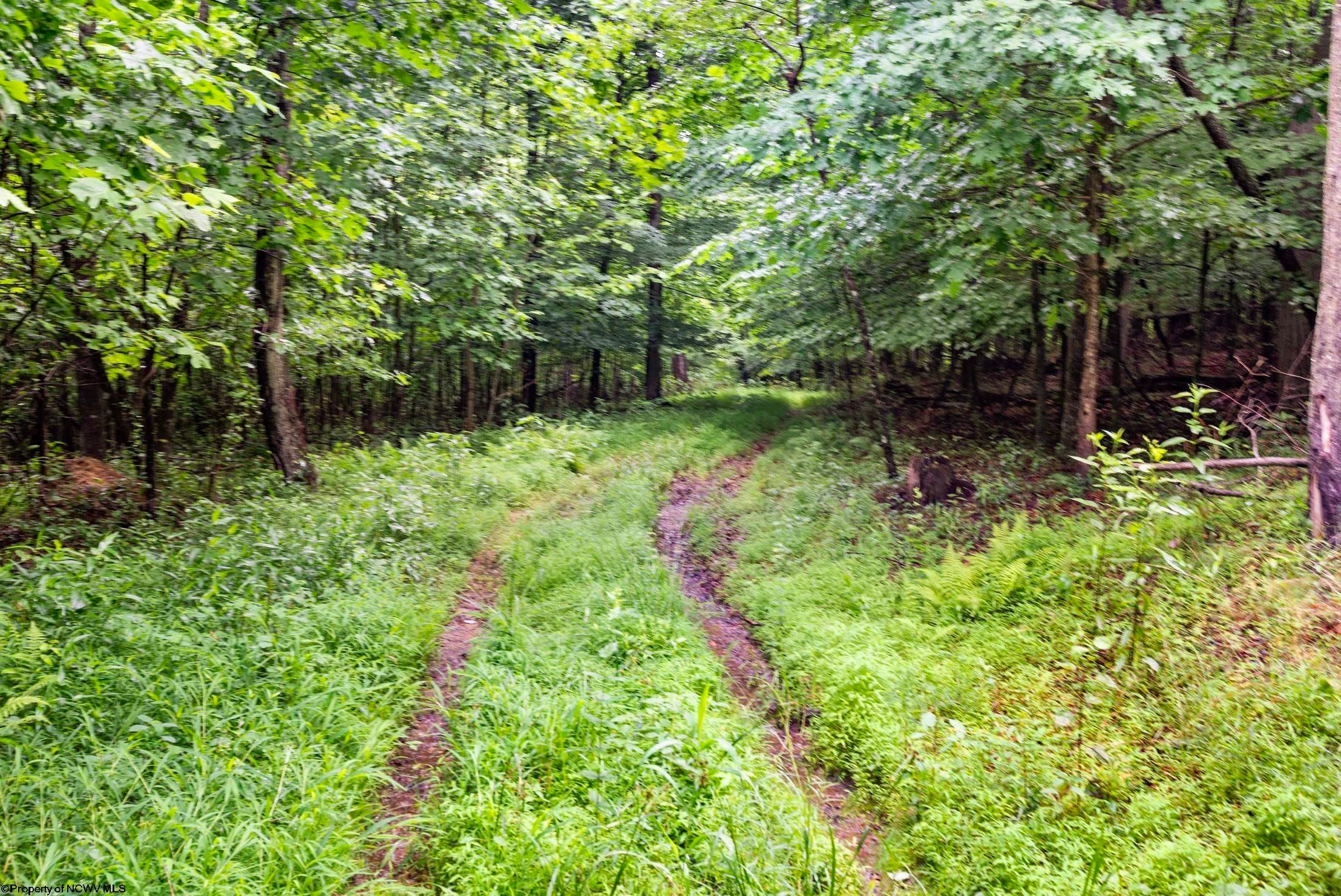 Lot 7 Burnt Cabin Road Fairmont, WV 26554 - Photo 5 of 16 Gallery Image 5