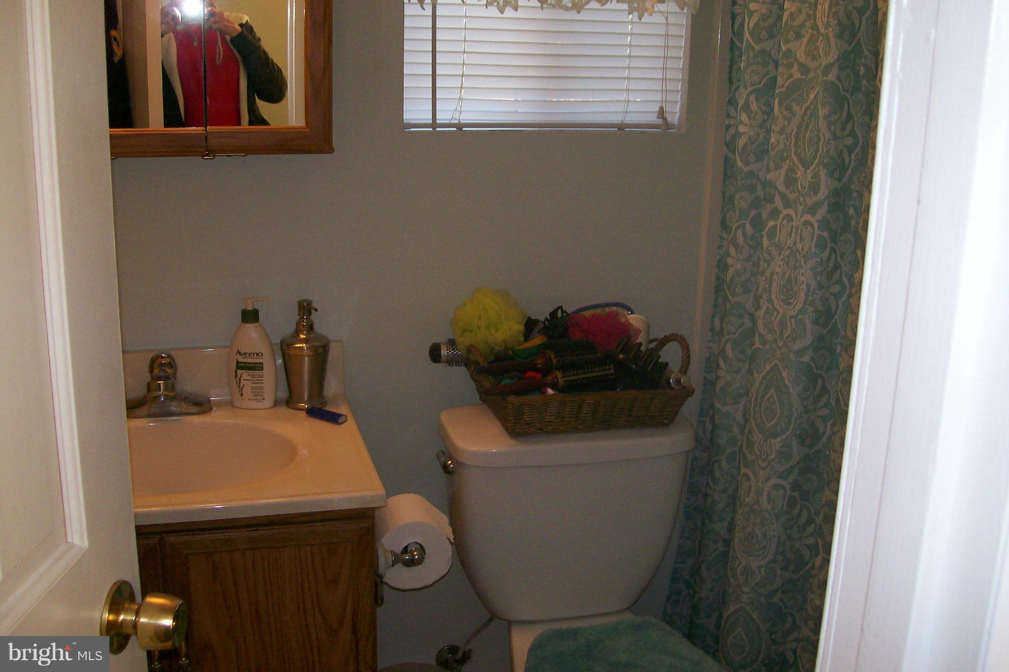 1626 South Pifer Road Star Tannery, VA 22654 - Photo 18 of 30 Bath