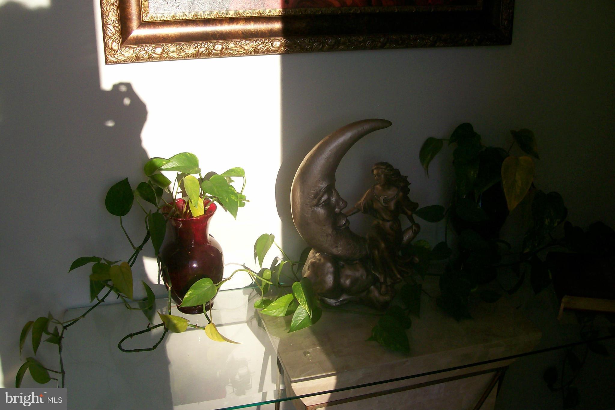 1626 South Pifer Road Star Tannery, VA 22654 - Photo 21 of 30 Foyer