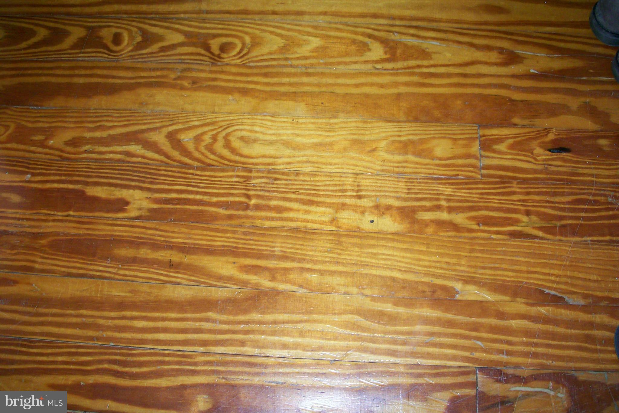 1626 South Pifer Road Star Tannery, VA 22654 - Photo 26 of 30 Floors