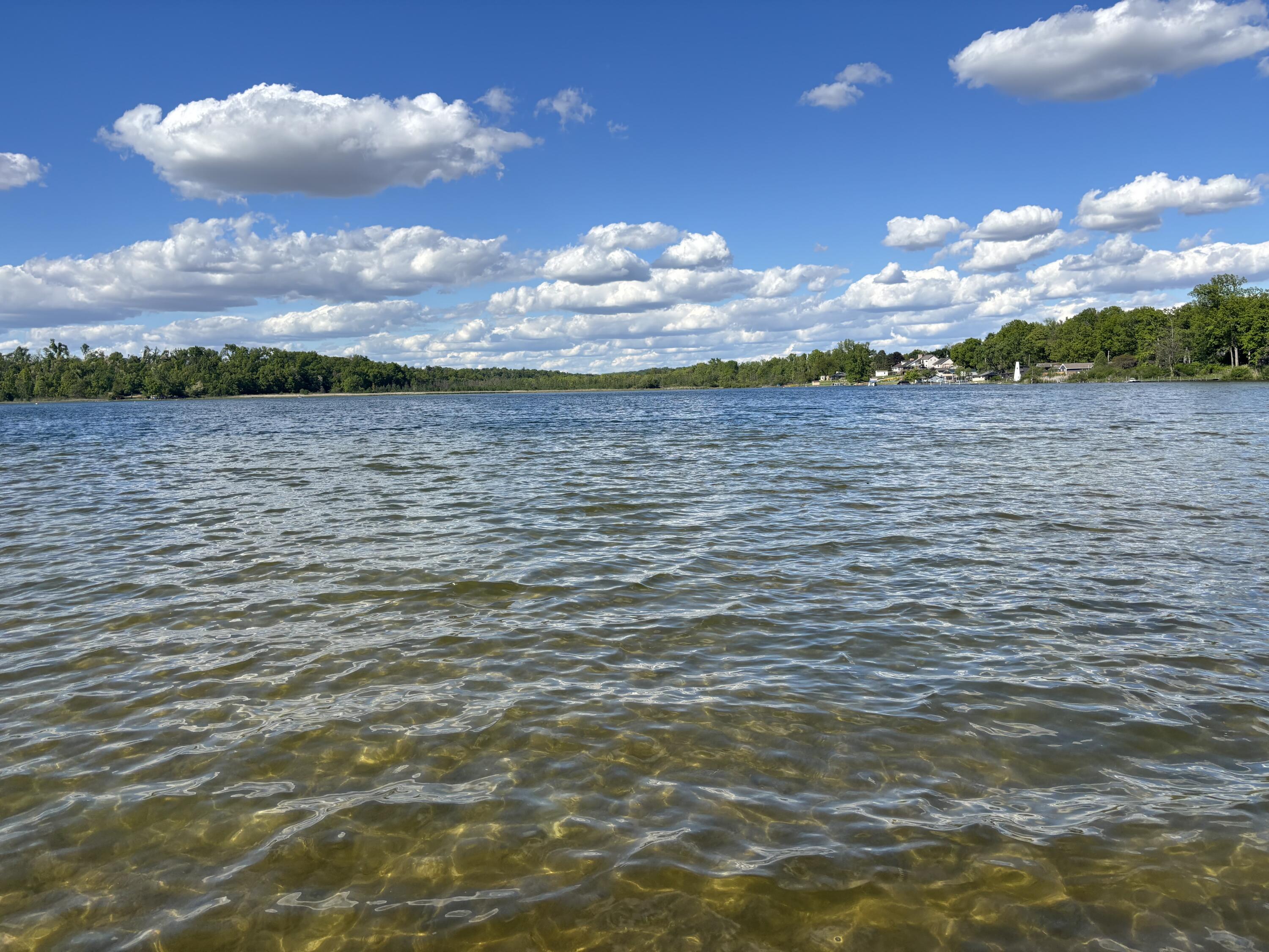 23772 Wilson Road Sturgis, MI 49091 - Photo 11 of 41 IMG_5090