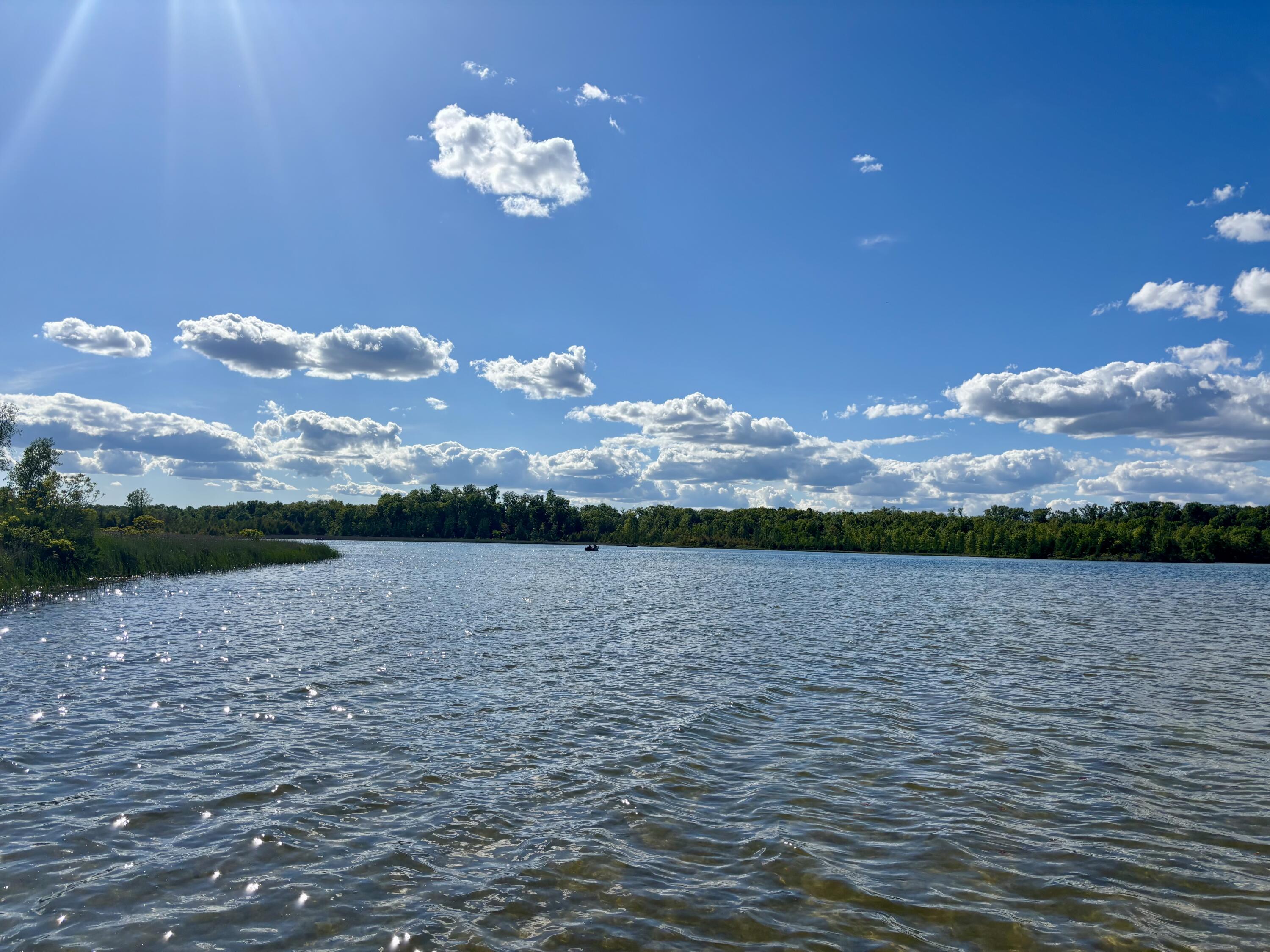 23772 Wilson Road Sturgis, MI 49091 - Photo 12 of 41 IMG_5092