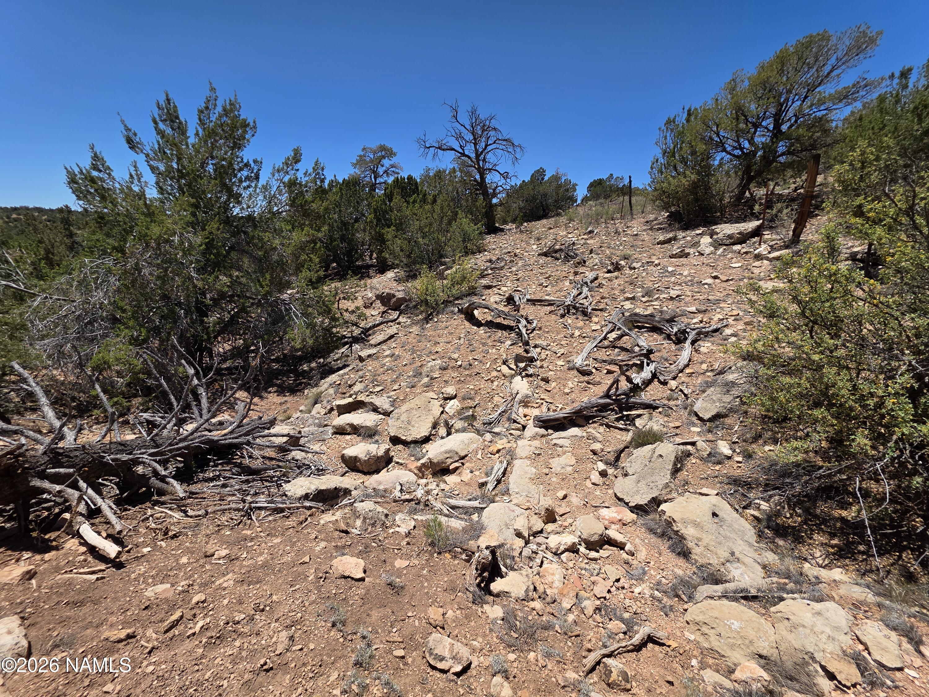 9966 Northstar Road Williams, AZ 86046 - Photo 5 of 37 1000065025