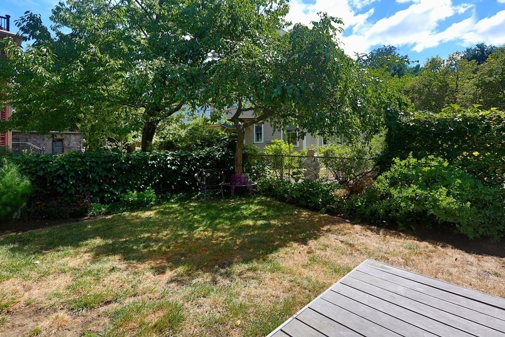 33 Thorndike Street Brookline, MA 02446 - Photo 13 of 13 a view of a yard with plants and large trees