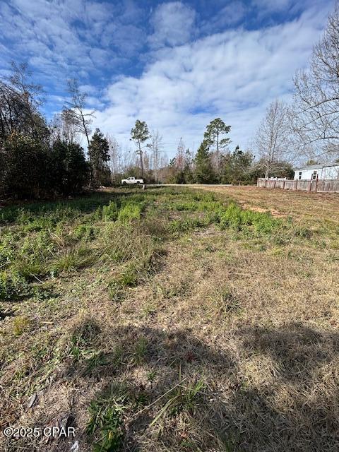 9314 Pat Road Youngstown, FL 32466 - Photo 4 of 7