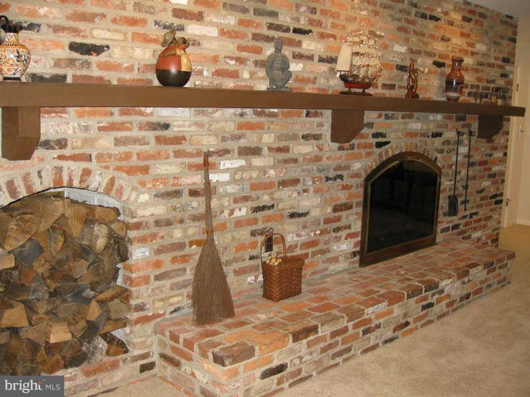 2117 Sondra Court Silver Spring, MD 20905 - Photo 17 of 30 Family Room Fireplace & Hearth