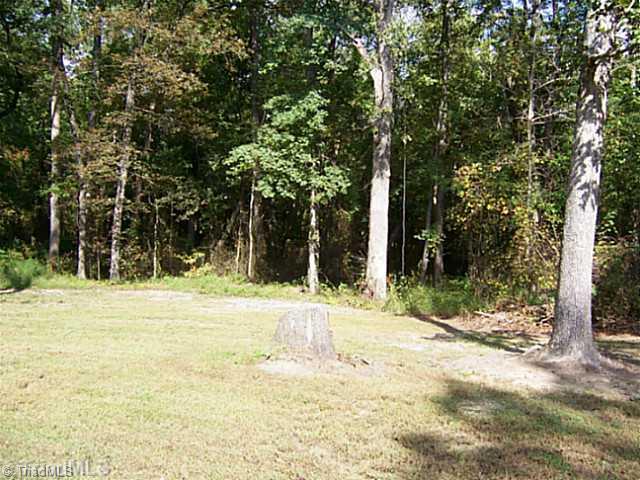 6317 Liberty Road Julian, NC 27283 - Photo 13 of 14 Yard/Garden.