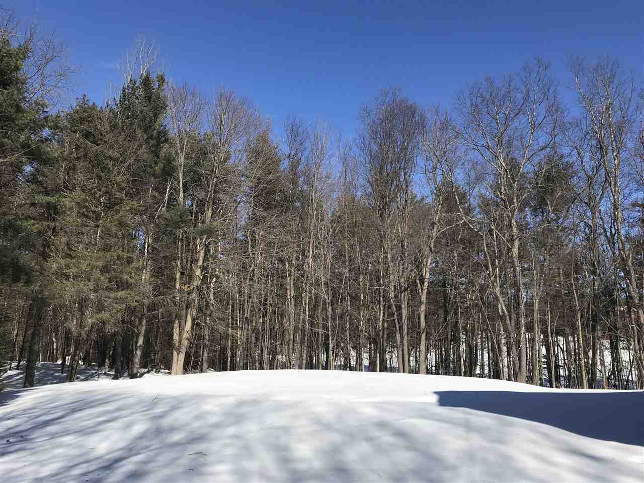 12 Risingwood Drive Bow, NH 03304 - Photo 3 of 40