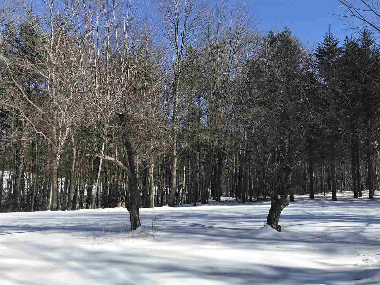 12 Risingwood Drive Bow, NH 03304 - Photo 40 of 40