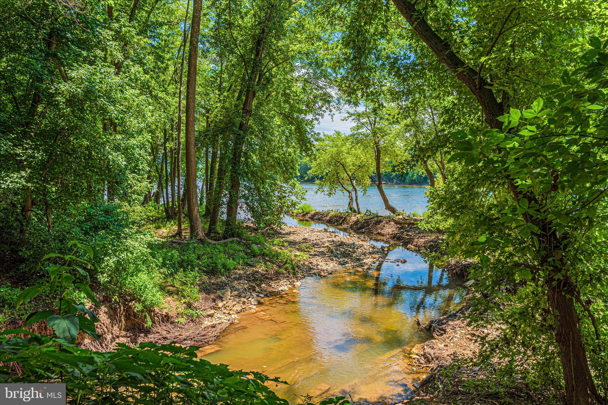 23 East F Street Brunswick, MD 21716 - Photo 56 of 67 _DSC1478