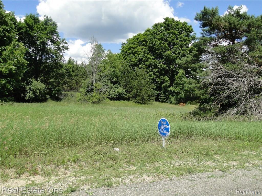 1717 West Sharon Road Fife Lake, MI 49633 - Photo 2 of 17 DSC04459.JPG