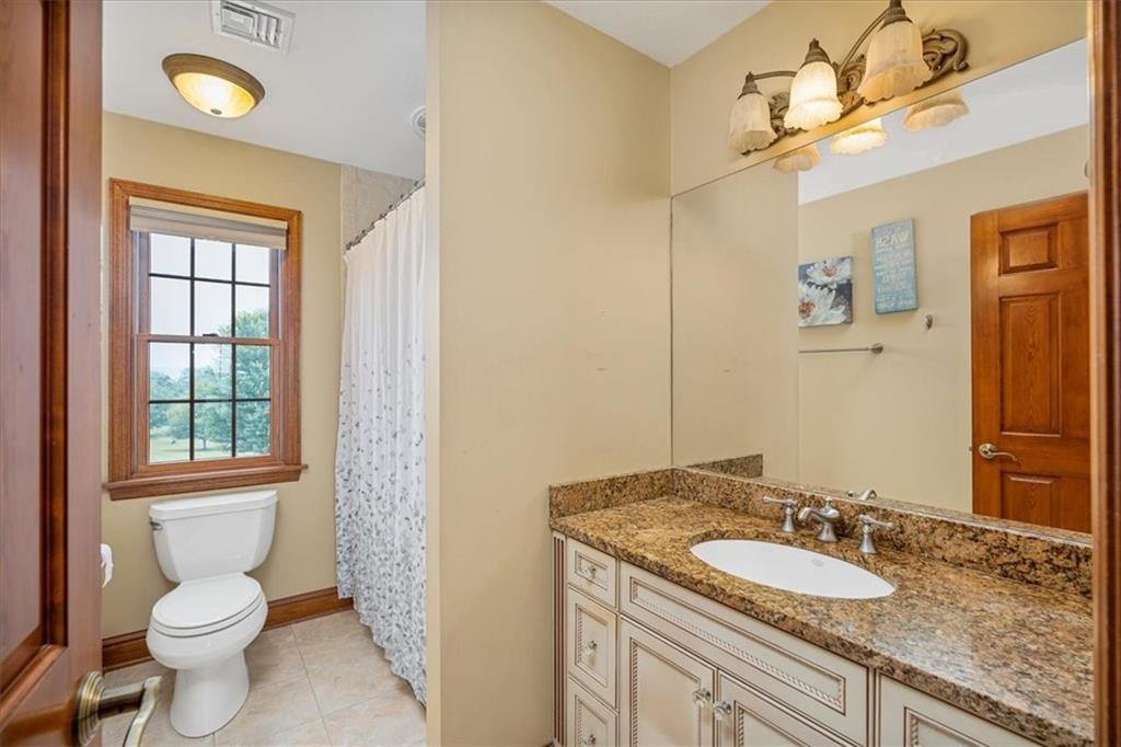 225 Church Road Fombell, PA 16123 - Photo 34 of 45 a bathroom with a granite countertop sink toilet and mirror