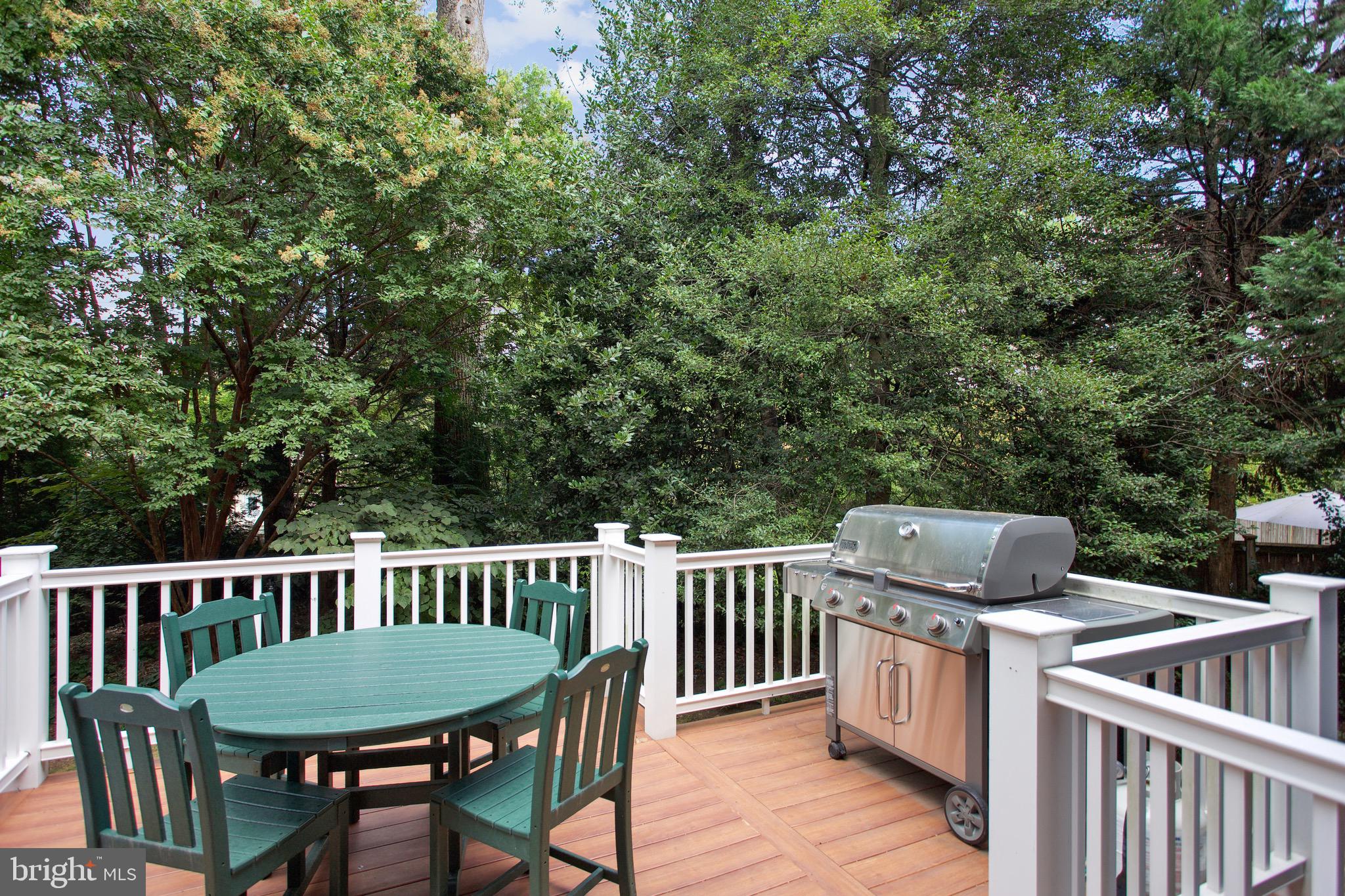8101 Custer Road Bethesda, MD 20814 - Photo 22 of 77 Deck off Kitchen