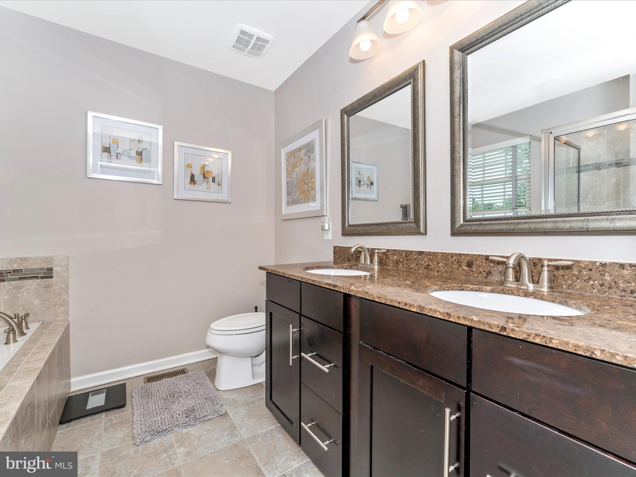 1229 Riparian Drive Falling Waters, WV 25419 - Photo 29 of 72 Primary Bathroom