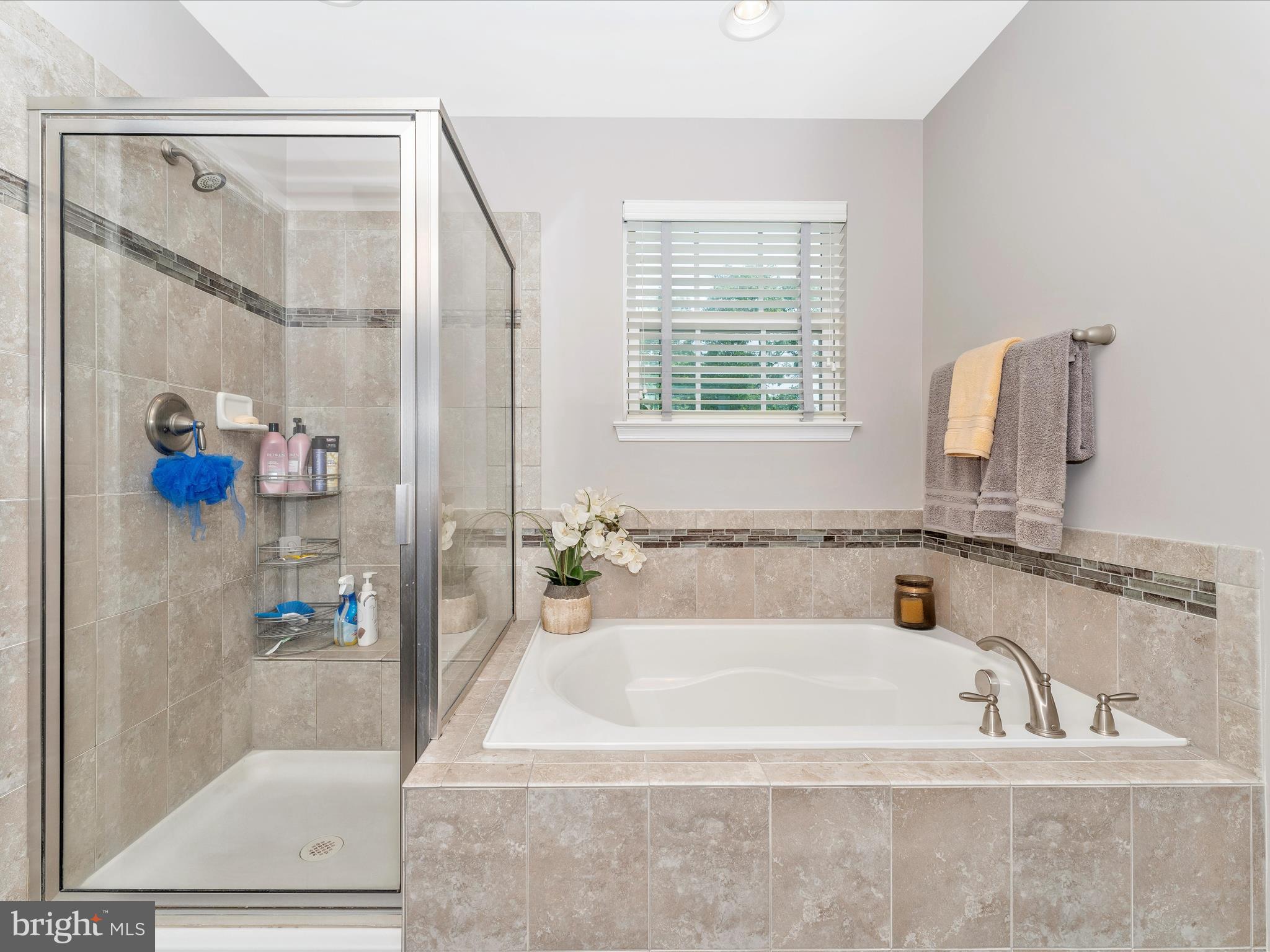 1229 Riparian Drive Falling Waters, WV 25419 - Photo 30 of 72 Primary Bathroom