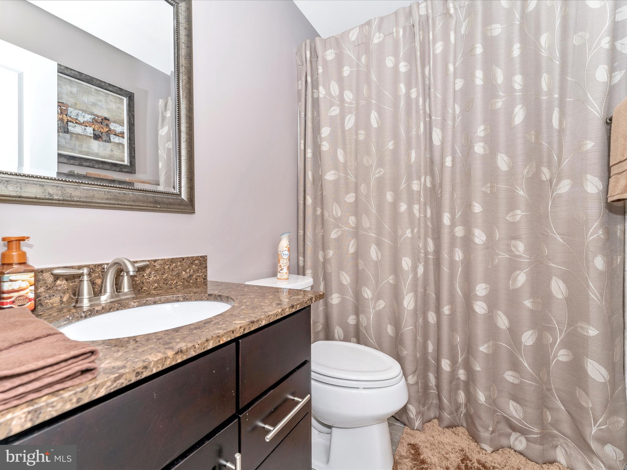 1229 Riparian Drive Falling Waters, WV 25419 - Photo 34 of 72 Bathroom