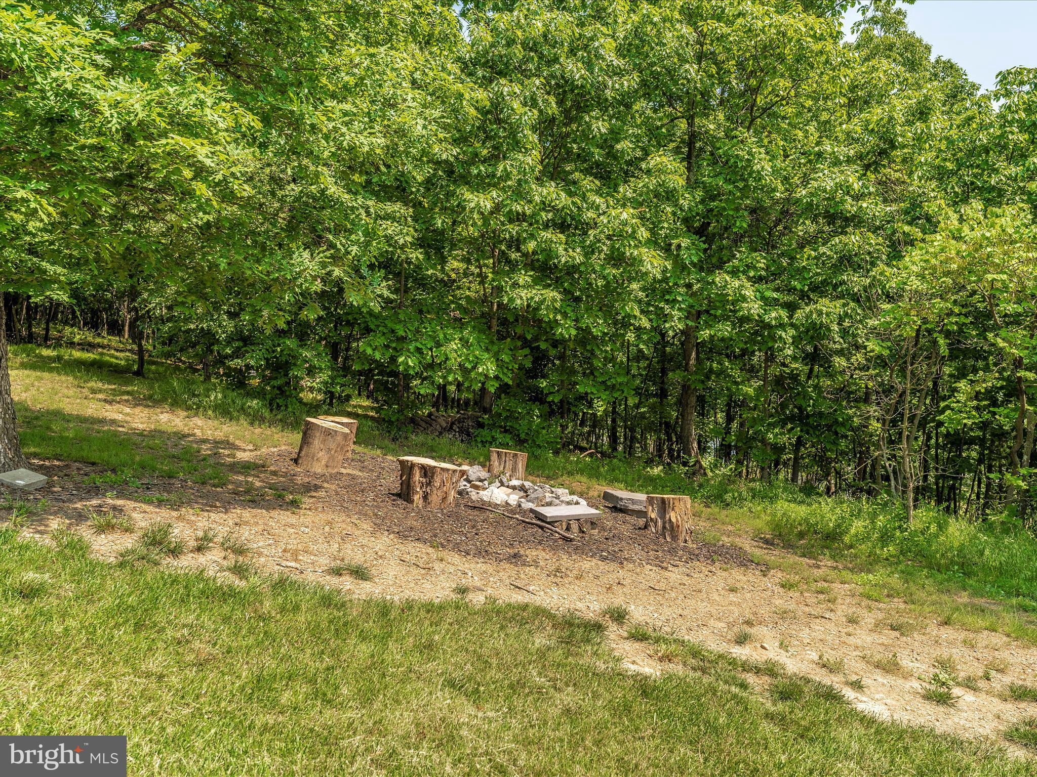 1229 Riparian Drive Falling Waters, WV 25419 - Photo 61 of 72 Exterior Back