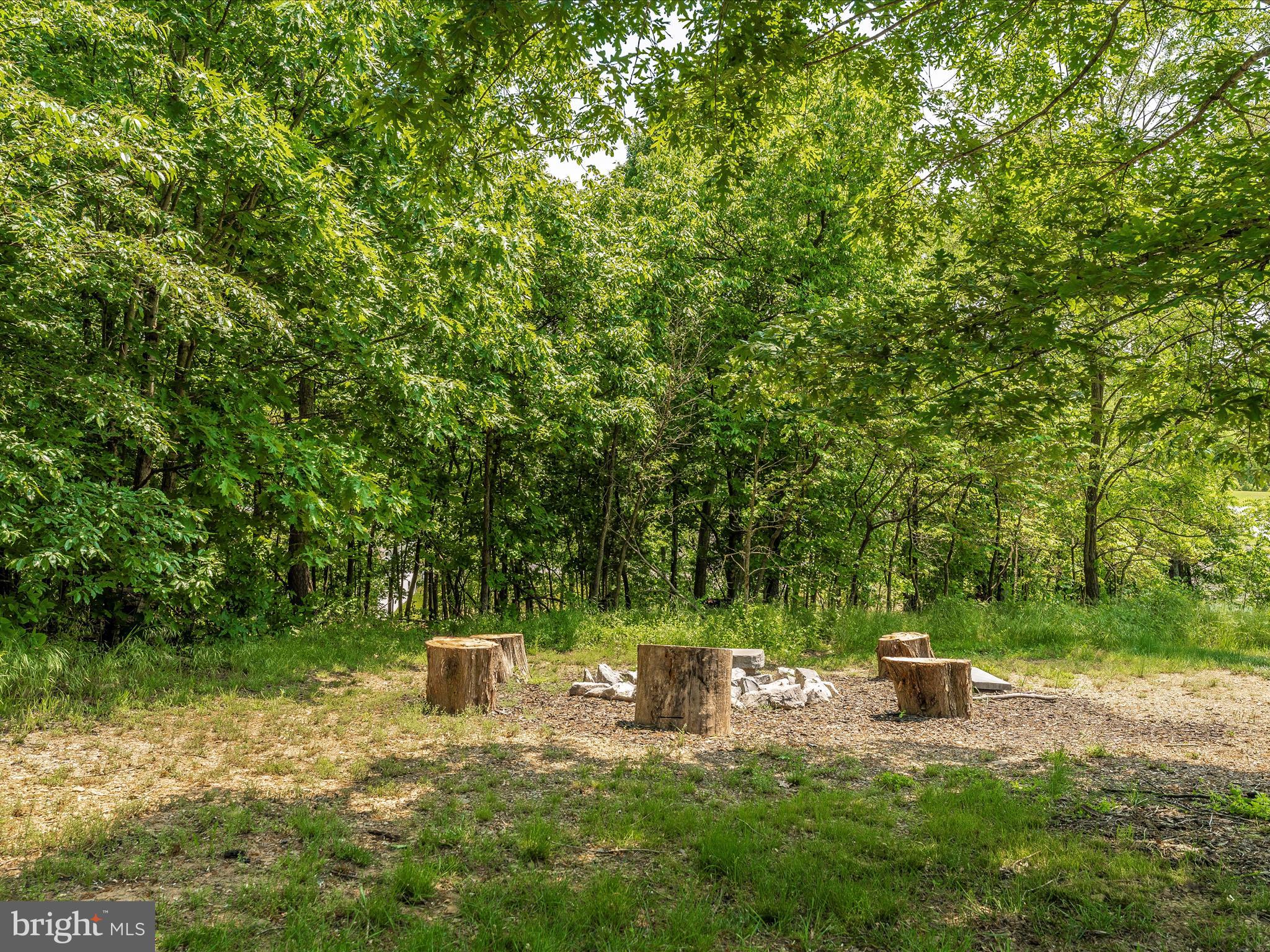 1229 Riparian Drive Falling Waters, WV 25419 - Photo 64 of 72 Exterior Back