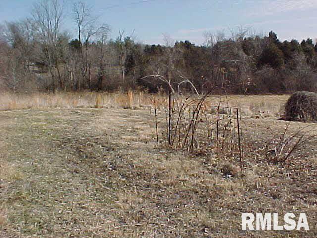 2350 Wolf Creek Road Carbondale, IL 62902 - Photo 20 of 22 Gallery Image 20