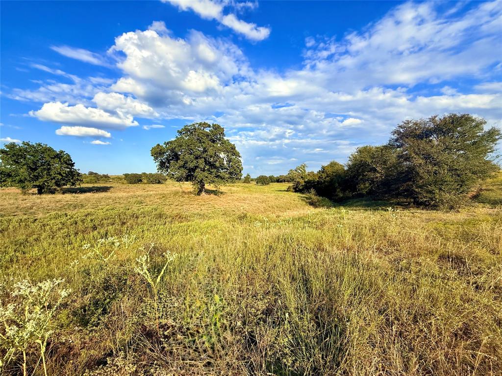 2101 Erwin Road Jacksboro, TX 76458 - Photo 26 of 26 View of local wilderness with rural landscape