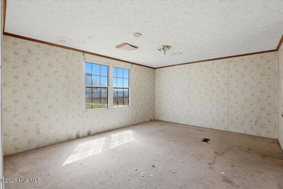 452 Pitt County Line Road Grifton, NC 28530 - Photo 14 of 41 Home 1 Primary