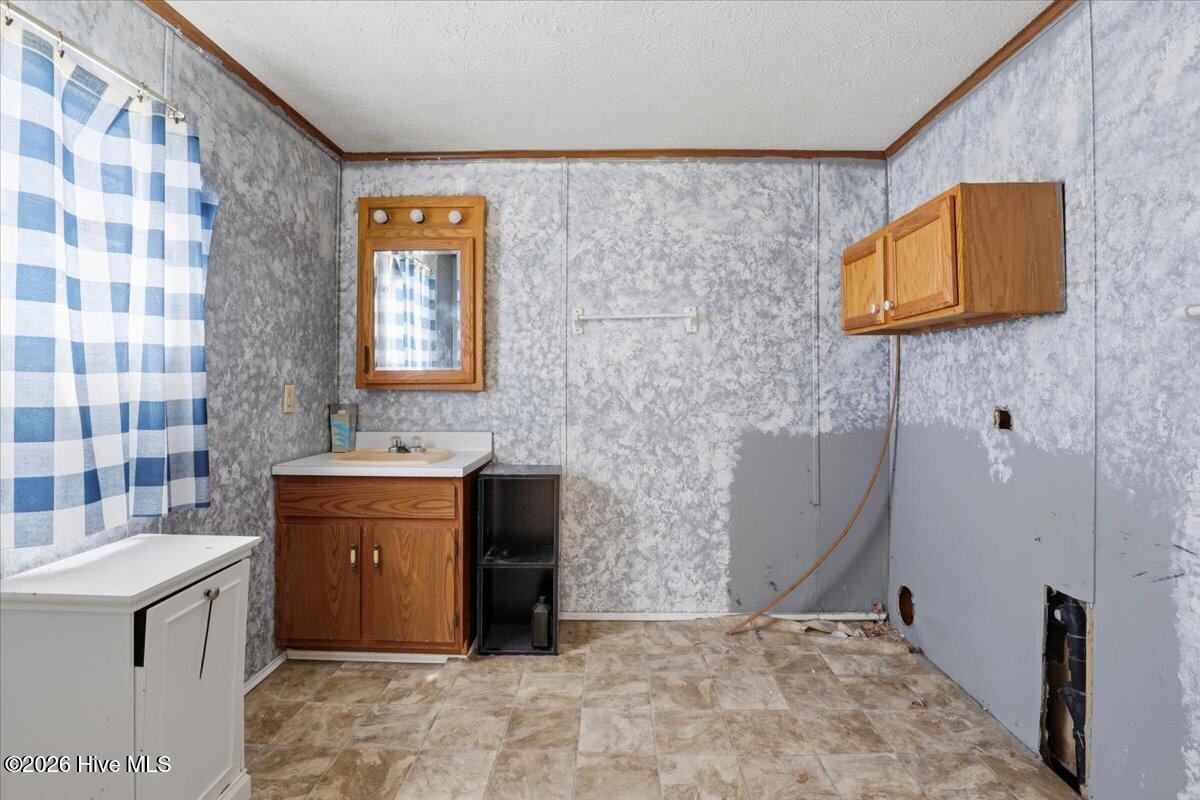 452 Pitt County Line Road Grifton, NC 28530 - Photo 15 of 41 Home 1 Primary Bath