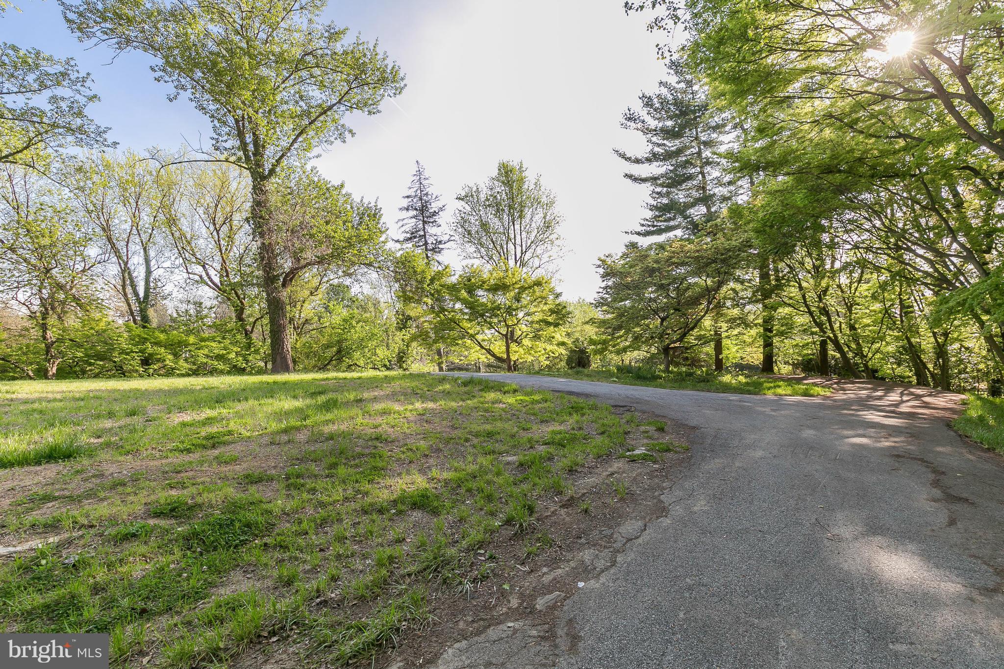 1001 Rolandvue Road Baltimore, MD 21204 - Photo 6 of 8 Driveway